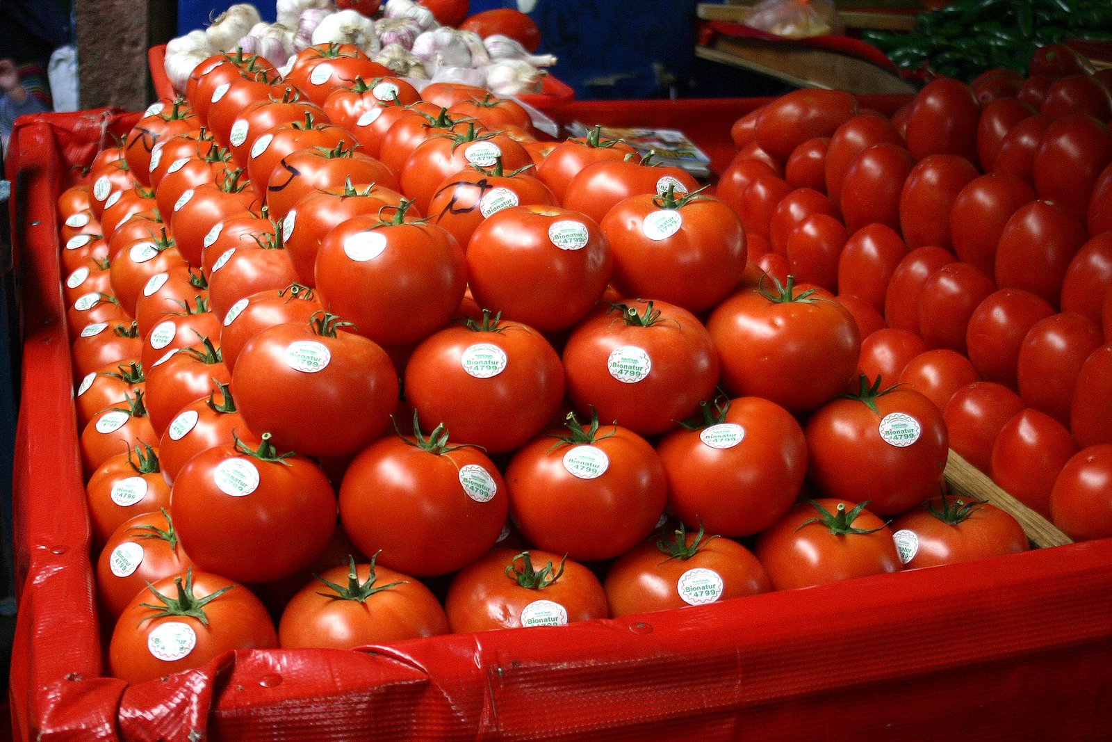 Jitomates frescos, uno de los productos cuyo precio subió con fuerza en septiembre y presionó al alza la inflación en México